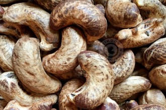 Cách làm hạt điều rang muối ngon ngay tại nhà Cách làm hạt điều rang muối ngon ngay tại nhà