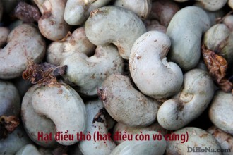 Các công đoạn làm ra thành phẩm hạt điều tươi làm sữa Các công đoạn làm ra thành phẩm hạt điều tươi làm sữa