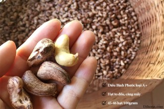 Bật mí giá hạt điều rang muối tận gốc Bật mí giá hạt điều rang muối tận gốc