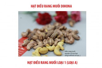 Hành trình từ hạt điều trên cây thành hạt điều rang muối Bình Phước Hành trình từ hạt điều trên cây thành hạt điều rang muối Bình Phước