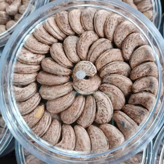 Hạt điều rang củi