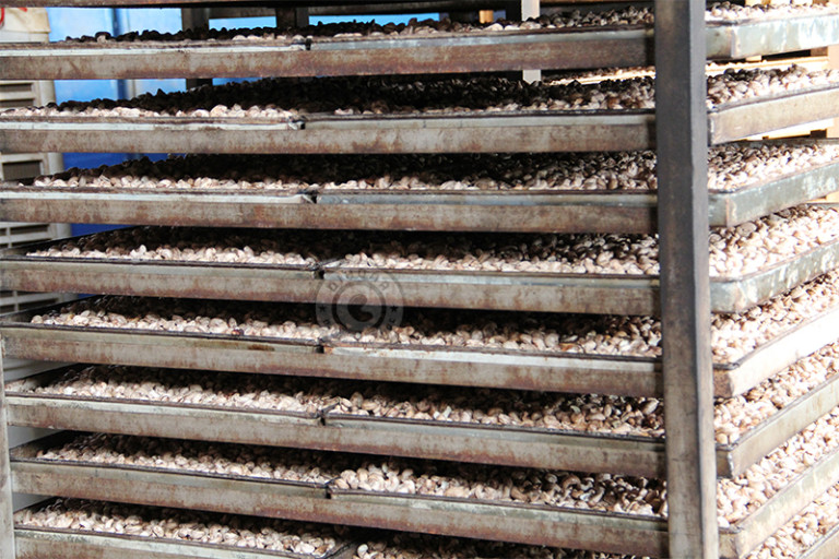 tat-tan-tat-qua-trinh-san-xuat-hat-dieu-rang-muoi-ban-can-biet tat-tan-tat-qua-trinh-san-xuat-hat-dieu-rang-muoi-ban-can-biet