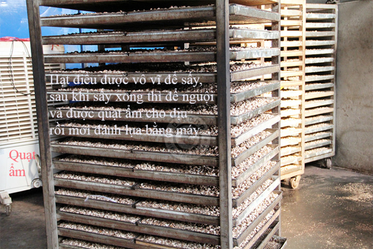 cac-cong-doan-lam-ra-thanh-pham-hat-dieu-tuoi-lam-sua cac-cong-doan-lam-ra-thanh-pham-hat-dieu-tuoi-lam-sua