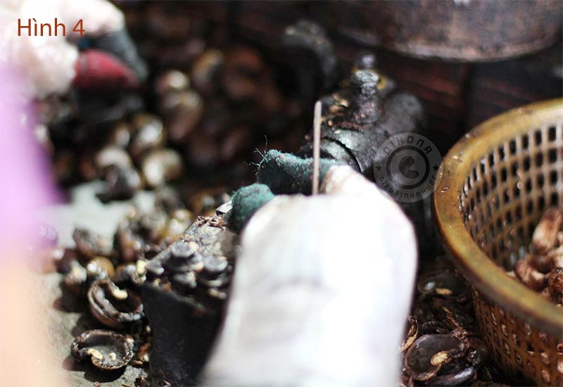 tat-tan-tat-qua-trinh-san-xuat-hat-dieu-rang-muoi-ban-can-biet tat-tan-tat-qua-trinh-san-xuat-hat-dieu-rang-muoi-ban-can-biet