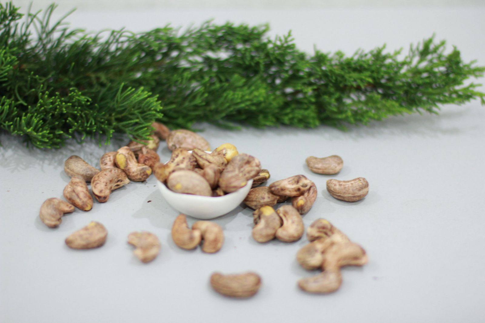 ban-hat-dieu-tai-ha-noi