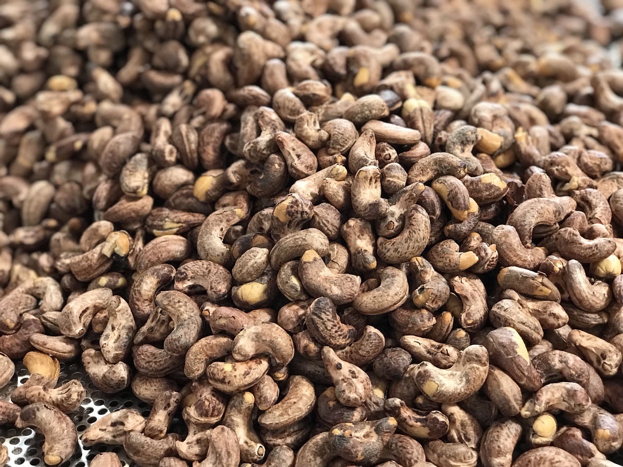 gia-hat-dieu-rang-muoi-binh-phuoc