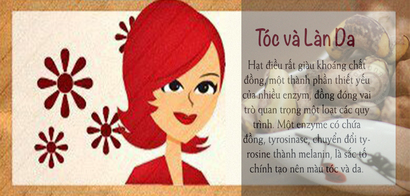 Hạt điều Hạt điều