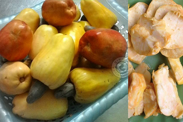 Hạt điều Bình Phước Hạt điều Bình Phước