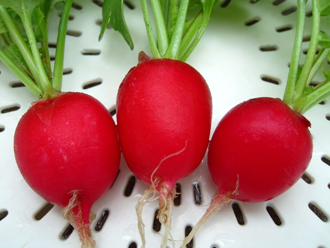 Làm sao tập trung sự tỉnh táo Làm sao tập trung sự tỉnh táo